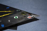 Katie's F-117