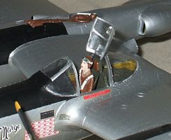 The pilot