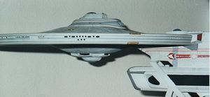 The saucer rim