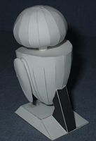 The back