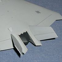 The tail section